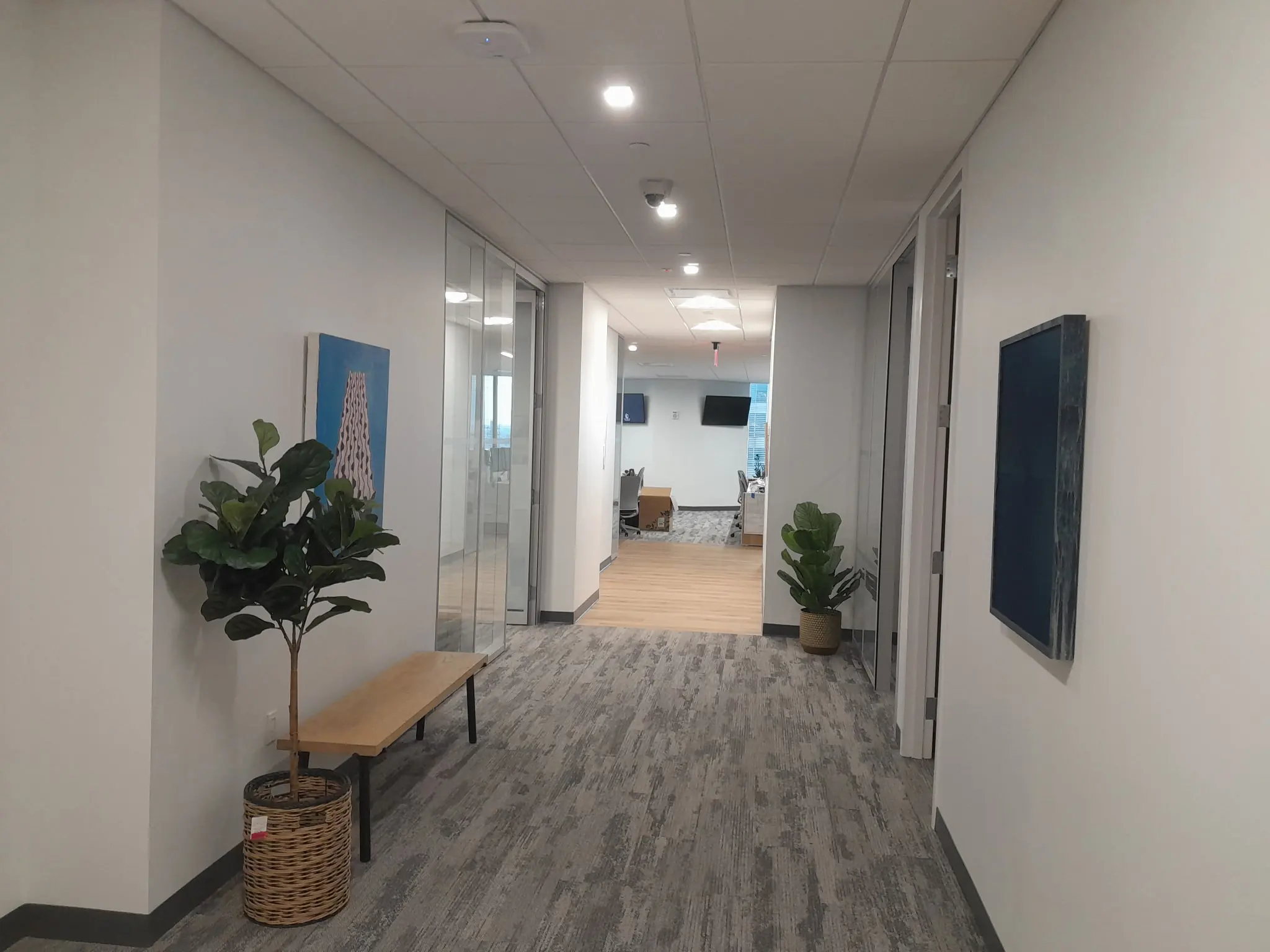 Pandora interior finish project